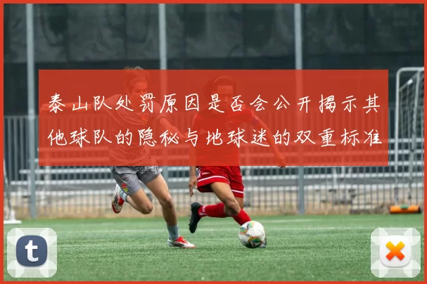 泰山队处罚原因是否会公开揭示其他球队的隐秘与地球迷的双重标准