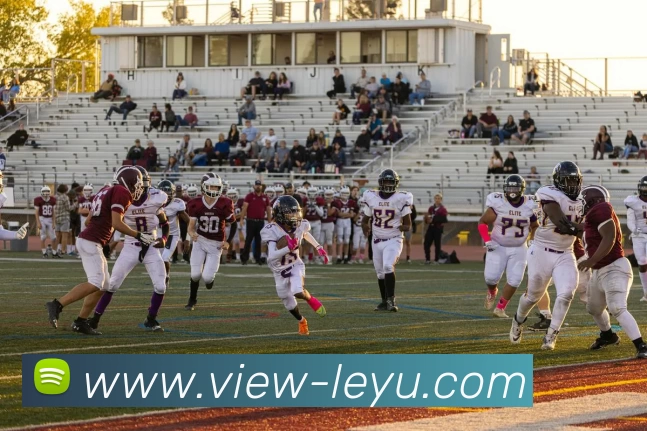 乐鱼体育发展历程